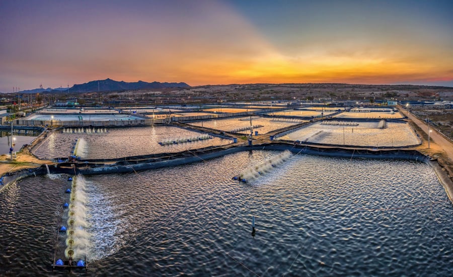 Lorem Ipsum: Beyond Filler Content