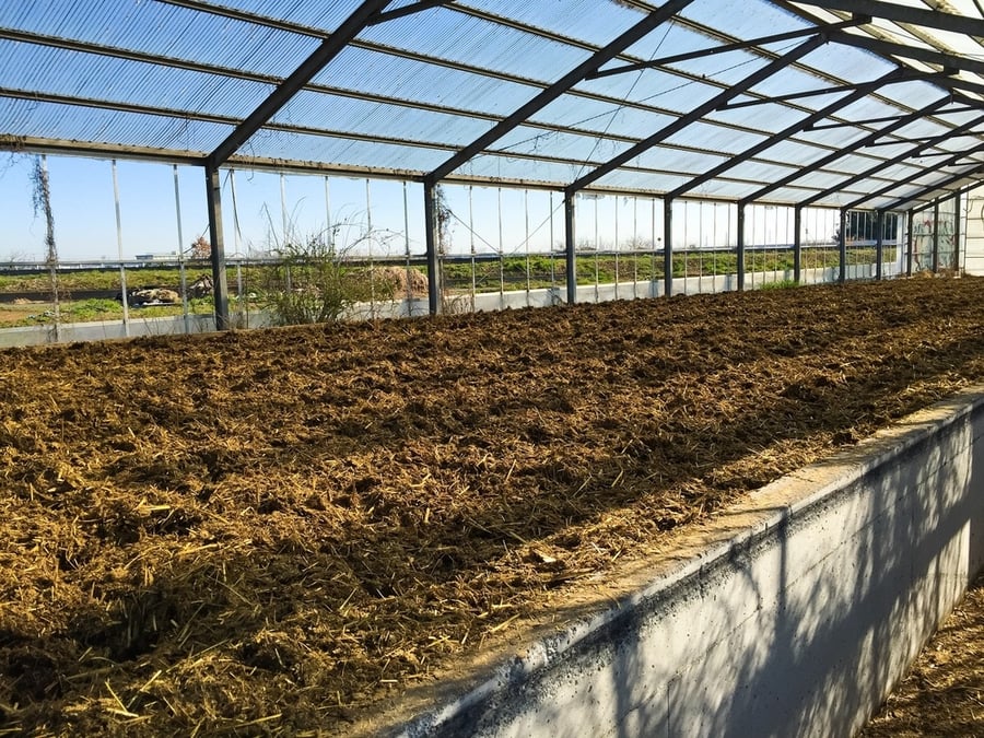 Lorem Ipsum in the Digital Age: Relevance and Evolution