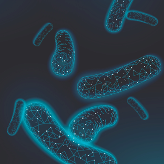 The Lorem Ipsum Phenomenon: Exploring Its Impact