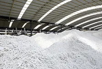 Lorem Ipsum: An Endless Sea of Possibilities